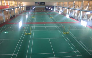 廣州戶外懸浮式拼裝運動地板平板紋 羽毛球排球籃球輪滑五人制足球健身房懸浮拼裝地板 運動塑膠地板 羽毛球地板 室外懸浮地板