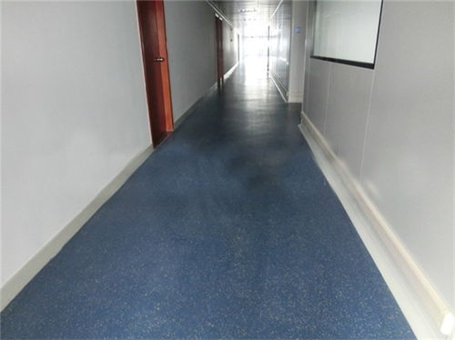 幼兒園塑膠地板生產(chǎn)廠家 幼兒園塑膠地板 長(zhǎng)友科技 查看